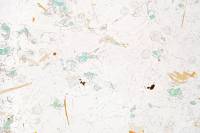 Feldspaths plagioclases LPNA x10